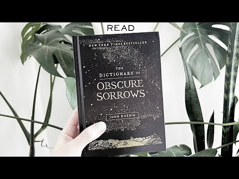 The Dictionary of Obscure Sorrows by John Koenig Book Review / Beautiful Nonfiction