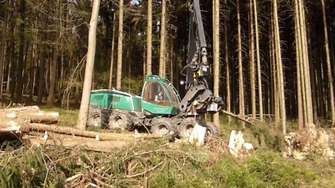 Powerful Silvatec Sleipner Taking on Tough Forest Thinning Challenges