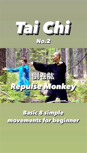 倒卷肱 RepulSe Monkey Basic 8 simple movements for beginner! ✅Tai Chi seminar learning with master Jian Feng Chen ☯️Florence, MA. October 18th, 2025 ✅More information and 👉 Online learning on daouniverse.com #taichi #taiji #flow #qigong #kungfu #jianfengchentaichi #balance #meditate #healthy #zen #太极拳 #太极 #武术 #功夫 #energy #europe #wushu #taichionline #taichichuan #taichiyang #dao #internal #energy #learning #philosophy #taichiphilosophy #massachusetts #boston #eastcoast #yinyang | Oregon Tai Chi Wu