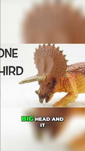 Discover Amazing Triceratops Facts