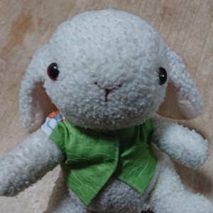 水無瀬くたり - Twitch