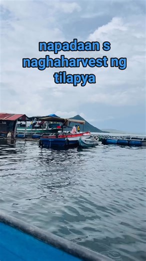 185K views · 1.1K reactions | harvest ng masarap ng tilapya ng taal #taalvolcano #taallake #talisay #tagaytay #batangas | Taal Volcano and Taal Lake Tourguide Boat ride | Facebook