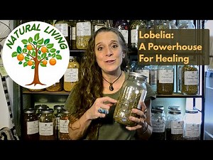 Lobelia: How To Use and Benefits