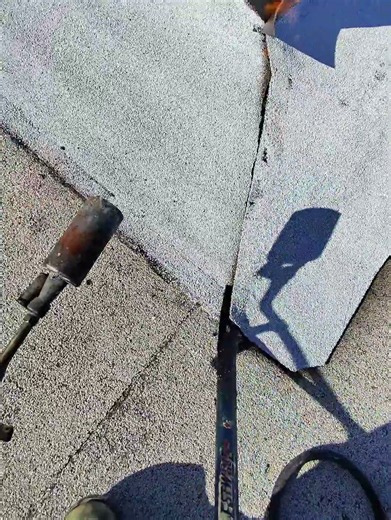Flat Roof Repair Leaking Roof
