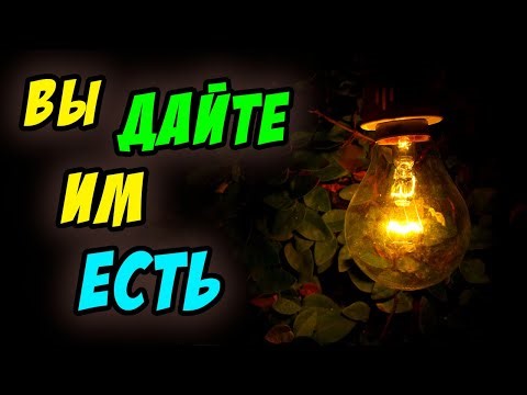 Вы дайте им есть - Василий Савич. Христианские проповеди