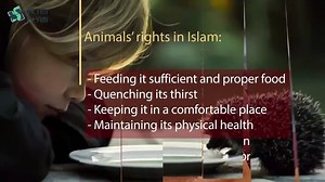 The Treatment of Animals in Islam In the Quran it is stated that every creature on the earth is created to serve human begins (2:29); this includes animals [1]. Of many benefits of animals to humans are the meat that comes from fish and chickens, the milk from cows and sheep, utilizing horses, oxen and camels for farming and transport, doing medical research on animals, using trained dogs to detect drugs and guide blinds. But, are we, as Muslims, allowed to freely treat animals and exploit them 