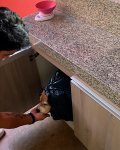 I wish this was my disposal unit 🥹 | LADbible