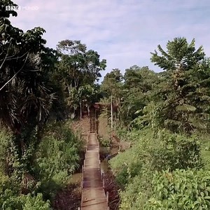 599K views · 11K shares | Es la primera canoa colectiva en el Amazonas que funciona con energía solar. Te contamos cómo funciona  https://bbc.in/2F200rV | BBC News Mundo | Facebook