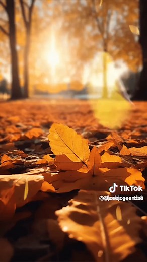 Videos de Alexita Guancha (@alexita.guancha) con “sonido original - Alexita Guancha”