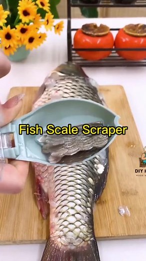 Effortless Fish Scale Removal: The Ultimate Guide