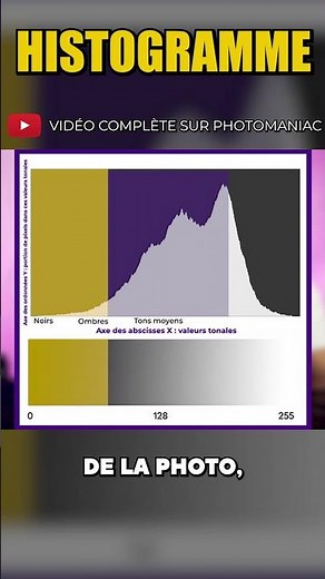 Histogram in Photo: How is it Created by the Camera?