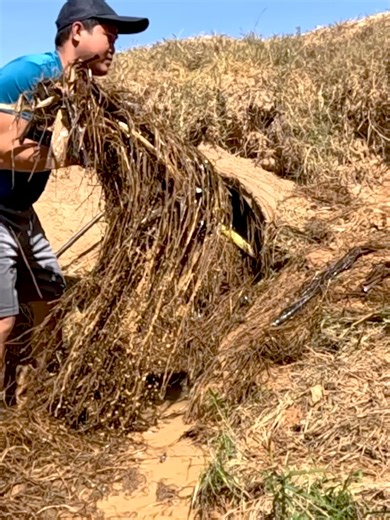 Clearing Debris to Protect Homes and Roads