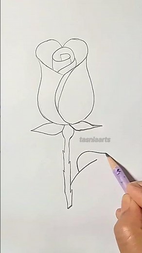 rose flower drawing // how to draw rose flower step by step #tasniaarts