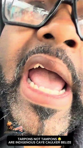 NOT TAMPONS… Tarpon Fish 😂🐟 | Caye Caulker Belize 🇧🇿 Island Vibes