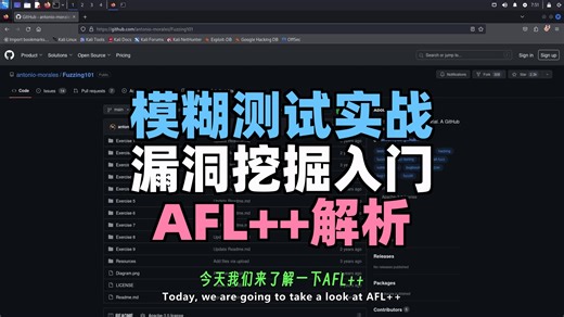 【二进制漏洞利用开发课程】第1集：AFL  实战入门：手把手模糊测试Linux二进制文件，挖出首个漏洞！