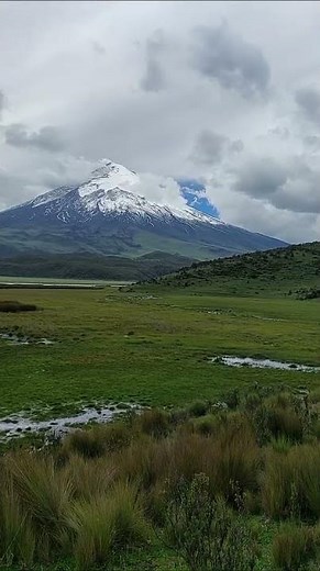 Gazing at Cotopaxi, Ecuador, GUIDEcuador Travel from Guidecuador J. 🇪🇨