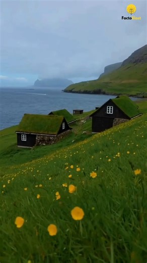 दुनिया की सबसे अजीब जगह जहाँ मौसम हर घंटे बदलता है! 🌦️ Faroe Islands Facts in Hindi. #faroeislands