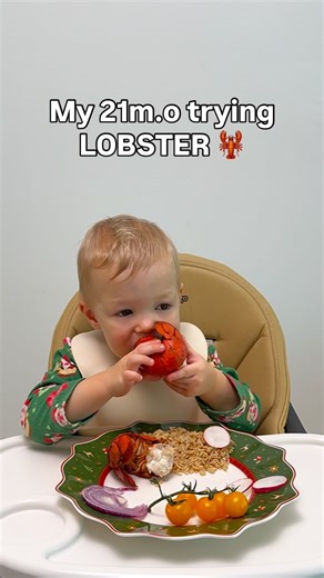 Enzo | The Boy Who Eats on Instagram: "I feel like no food surprises him anymore😅 #toddlermeals #toddlerfood #toddlereats"