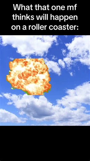 Expectations vs Reality on Roller Coasters