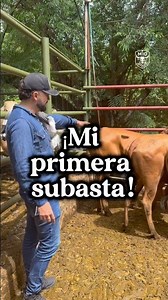 I bought my first cattle at auction 🤠🐄 Check this out! #fincam10 #m10 #cattle #agriculture