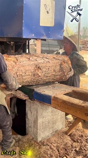 Logging workers use electric long saws to cut thick logs