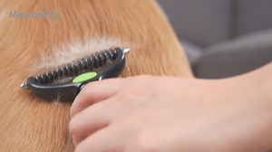 Watch Pet dematting tool on Amazon Live