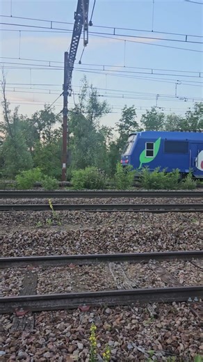 5600 X Regiolis #train #sncf #trainspotting #tgv #railway #railroad #trainspotter #tram #gare