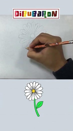 Dibujando una margarita | Dibujos faciles