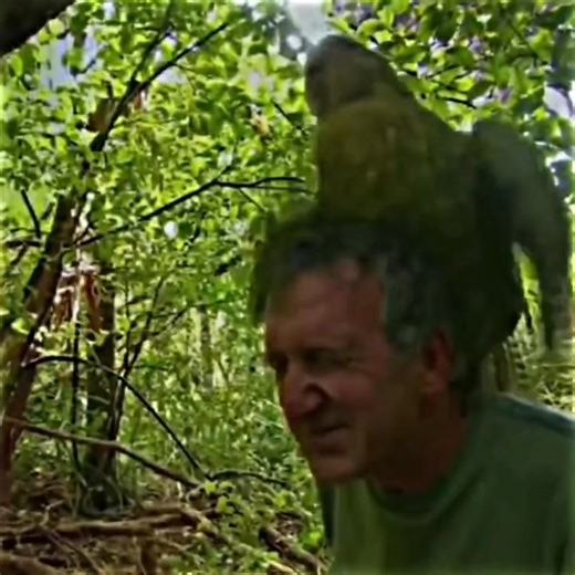 Abstract edit #edit #fypシ #funny