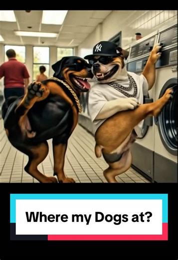 Where My Dogs At: Reviving Old School Hip-Hop