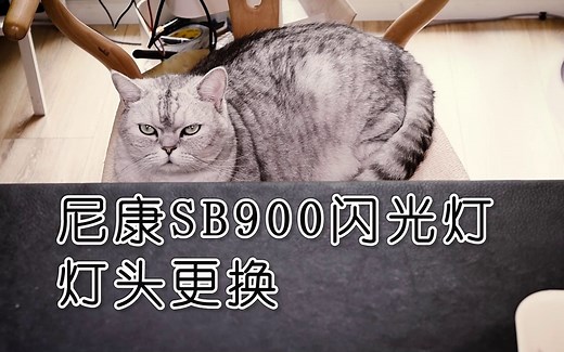 【太简单了 vol.22】如何更换尼康SB-900闪光灯灯头,一代神灯维修拆解教程SB900 SB800