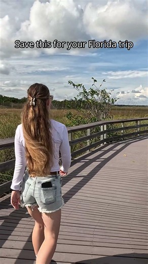 Florida Isn’t Just Beaches… This Is the Everglades