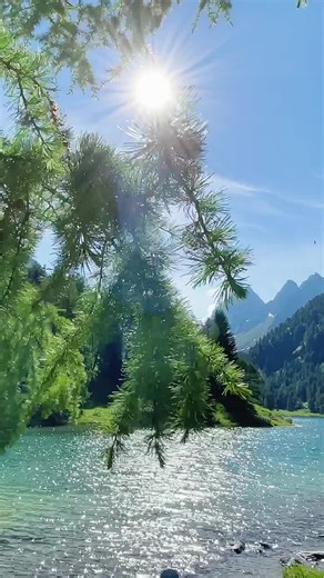 Amasing Alps lake #Graubunden #palpuognasee #switzerland #nature