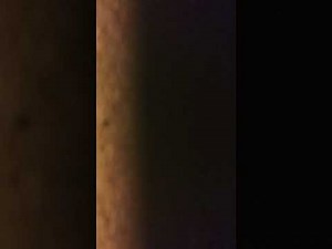 Amazing six minutes of farts on command/air farts. Echole Farts and more. Farting Bros.