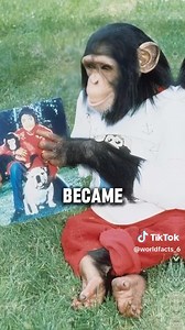 186K views · 2.7K reactions | MICHAEL JACKSON vs BUBBLES @highlight | Olabode Faleti | Facebook