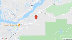 Homosassa Blues & BBQ Concert Tickets & Events Schedule 2026 - Homosassa, FL | JamBase