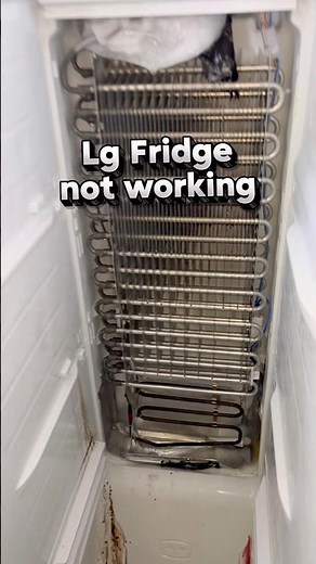 Lg Fridge Assessment