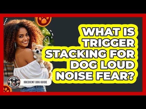 What Is Trigger Stacking For Dog Loud Noise Fear? - Obedient Dog Guide