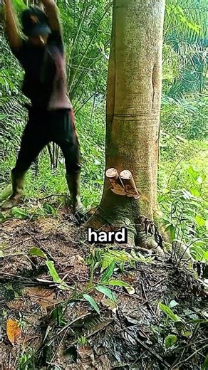 can this method knock down a tree? #chainsaw #sawblade #wood #woodworking