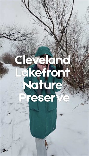 come outside with me to look for loons and mergansers!!!! 🎥: @Black Valve #wholesome #wildlife #nature #birding