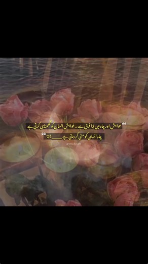 #fyp #foryou #foryoupage #fypシ #fypシ゚viral
