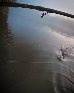 6.5K views · 24 reactions | LIVE De Swimbait werd vlak onder het oppervlak gepakt! | SPRO Sports Professionals | Facebook