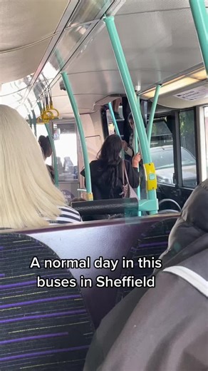 Exploring Sheffield's Public Bus Experience