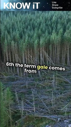 10 Astonishing Facts About Gales | KNOW iT