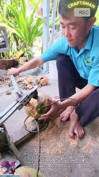 Fast and Safe Coconut Husking Tool DIY #video #viral