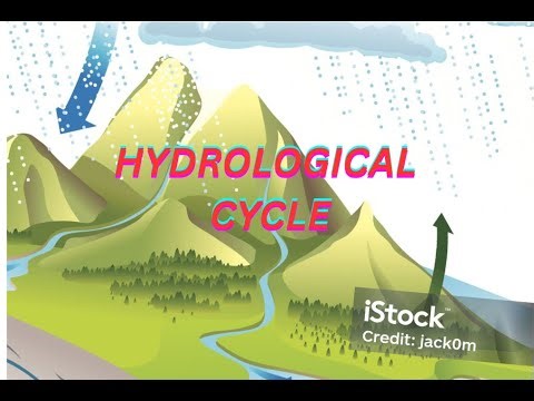 Hydrological Cycle Made Simple | Water's Journey