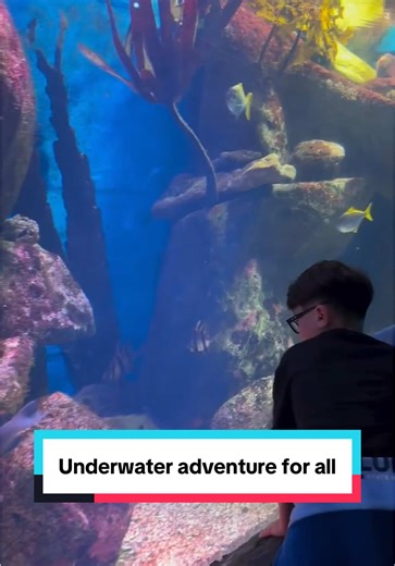 Explore SEA LIFE Sydney Aquarium: Family Fun Awaits!