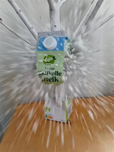 An Exploding Carton of Milk leading to New Life