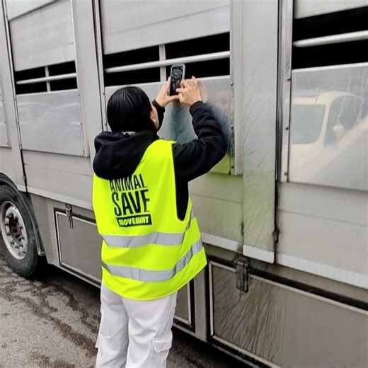 Animal Save Movement on Reels