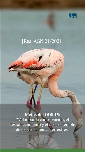 ODS 15: “Vida de ecosistemas terrestres”